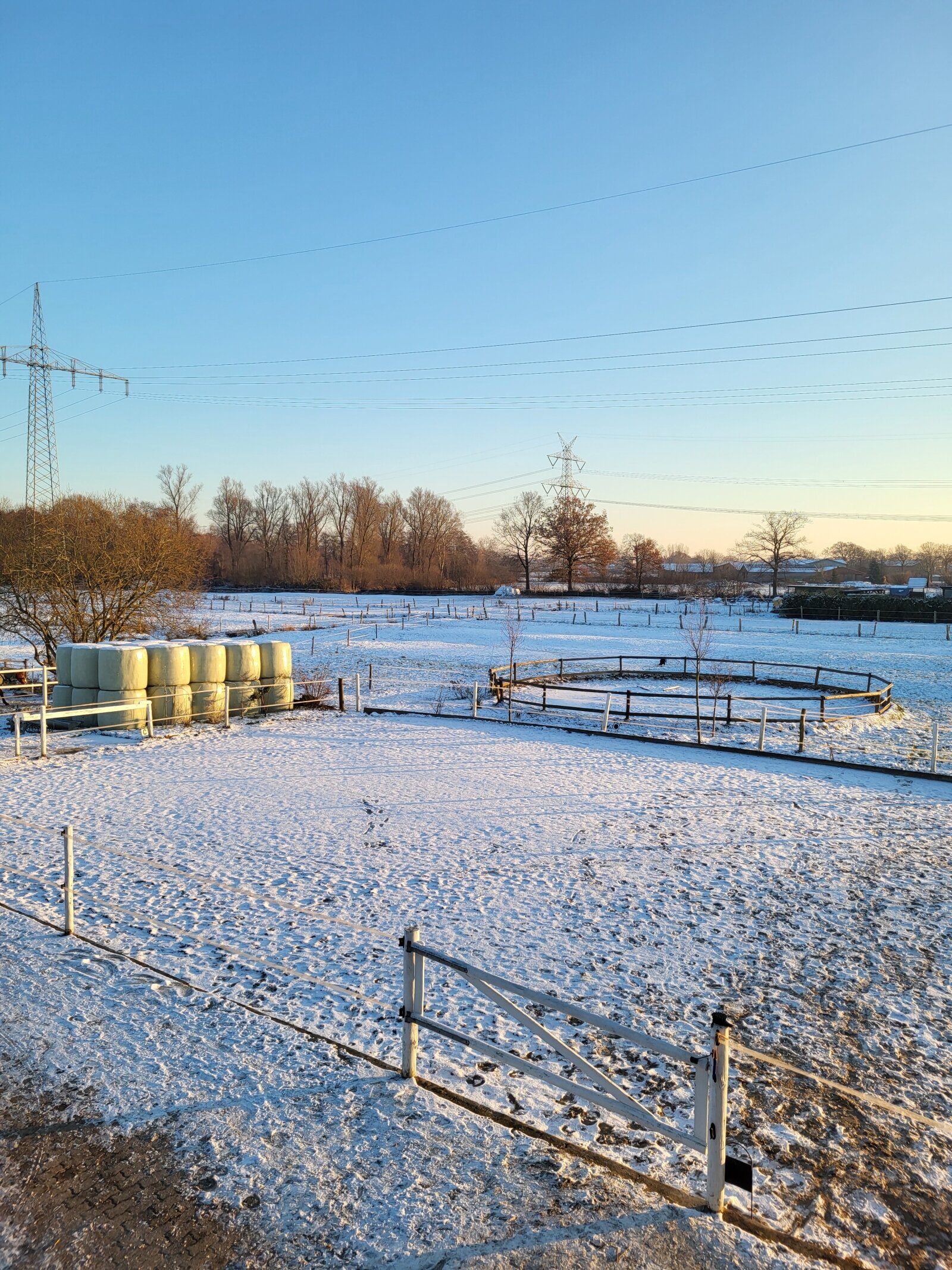 Reitplatz mit Wiesen